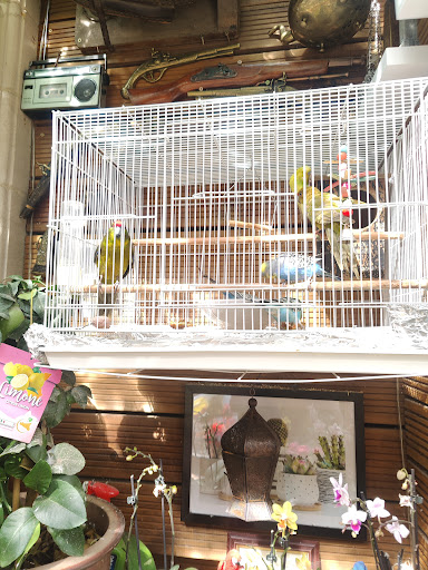 Photo of Lazzez - Cyril Rd, Birmingham B10 0SP